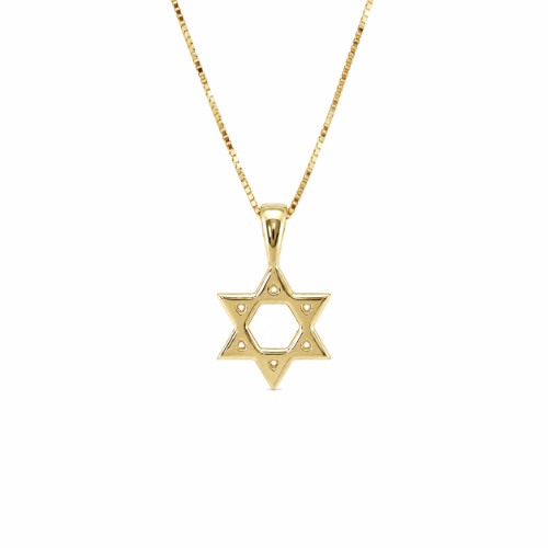 שרשרת ותליון מגן דוד זהב (קטן)