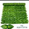 גדר עלי פרילה ירוקים - גדר עלים דקורטיבית במגוון דגמים