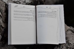 מסע במילים 365 - מדריך כתיבה אישי מאת חגית אלמקייס
