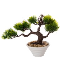 עציץ בונסאי 18*25 ס"מ