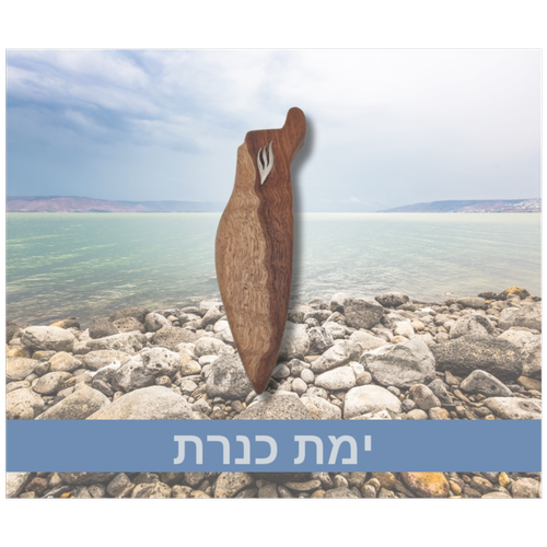 מזוזה עץ "ימת כנרת" מגולף בצורת ארץ ישראל | 17 ס"מ
