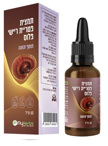 תמצית פטריית ריישי | Reishi Mushroom Extract | MY HERBS
