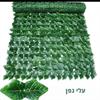 גדר עלי גפן - גדר עלים דקורטיבית במגוון דגמים