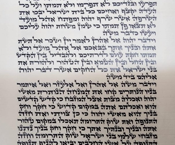 ספר תורה נוסח  אריז"ל גודל 36 ס"מ - תשפה