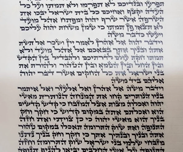 ספר תורה נוסח  אריז"ל גודל 36 ס"מ - תשפה