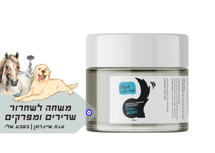 DOLITAI|משחת שרירים ומפרקים