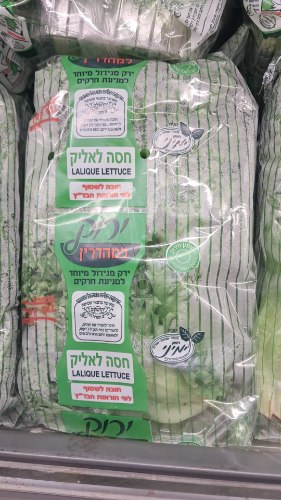 חסה לאליק-בד"ץ העדה החרדית