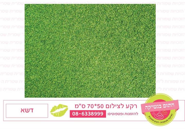 רקע צילום דשא