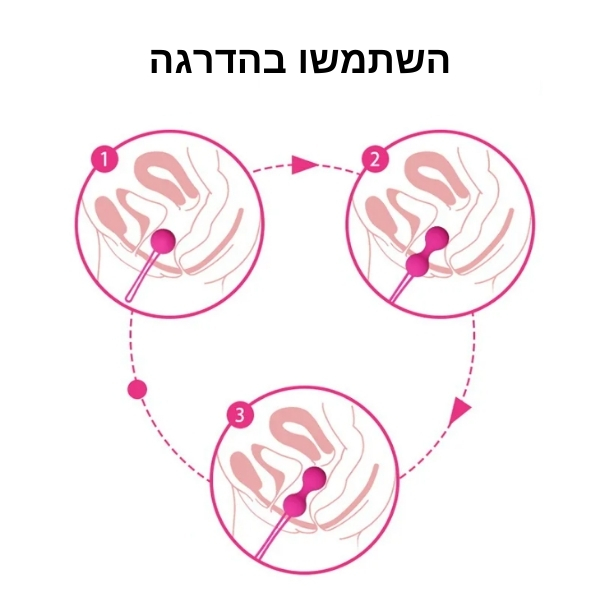 סיניות-רצפת-אגן