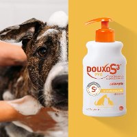דוקסו DOUXO S3 pyo – שמפו אנטיבקרטריאלי לחיטוי העור 200 מ”ל
