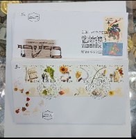 אוסף 13 מעטפות יום ראשון