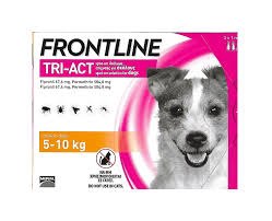 אמפולות נגד פרעושים וקרציות פרונטליין טרי אקט לכלב במשקל 5-10 קג - FRONTLINE TRI ACT