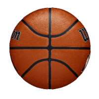 כדורסל ווילסון אן בי איי מידה 7 - WILSON NBA