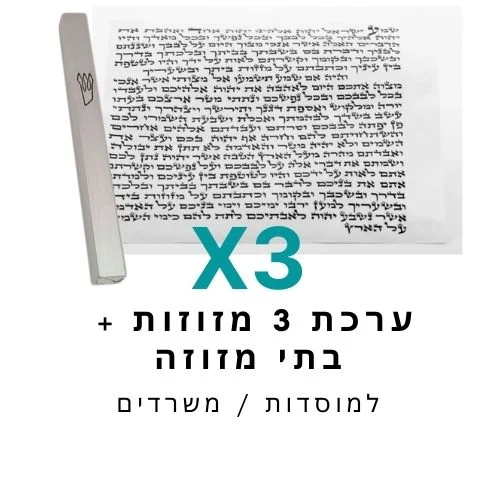 ערכת 3 בתי מזוזה אלומיניום טבעי + קלפי מזוזה כשרים 10 ס"מ