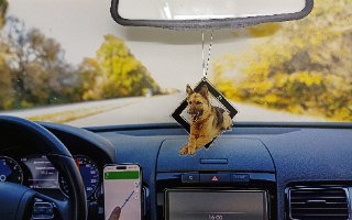 תליון לרכב עם תמונת החתול שלכם - מחוץ למסגרת