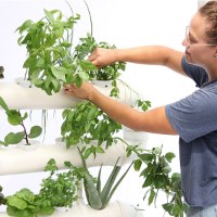 מערכת הידרופונית NFT לגידול 24 צמחים