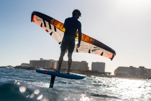 ENSIS JIVE DW 100L