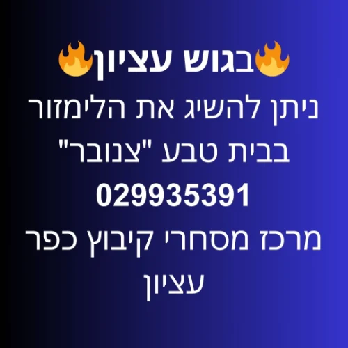 חנות "צנובר" מרכז מסחרי קיבוץ כפר עציון | ליד: אפרת בית שמש ביתר תקוע בת עין