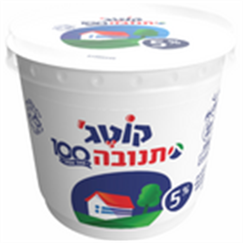 קוטג' 5%, 250 גרם | תנובה
