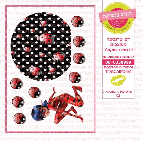החיפושית המופלאה 02