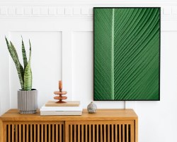 תמונת קנבס קלוזאפ של ענף דקל ירוק "Green All Over" |בודדת או לשילוב בקיר גלריה | תמונות לבית ולמשרד