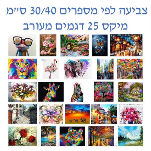 צביעה לפי מספרים 30/40 ס"מ מיקס 25 דגמים מעורב