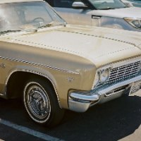 Candido 400 ISO 400 Color Negative Film C-41 35mm