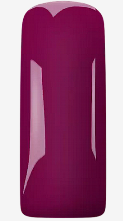 Gp Pink Tulip