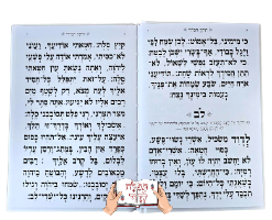 תיקון הכללי כריכה קשה בצבע ורוד