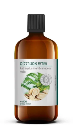 תמצית שורש אסטרגלוס | Astragalus Membranaceus Radix