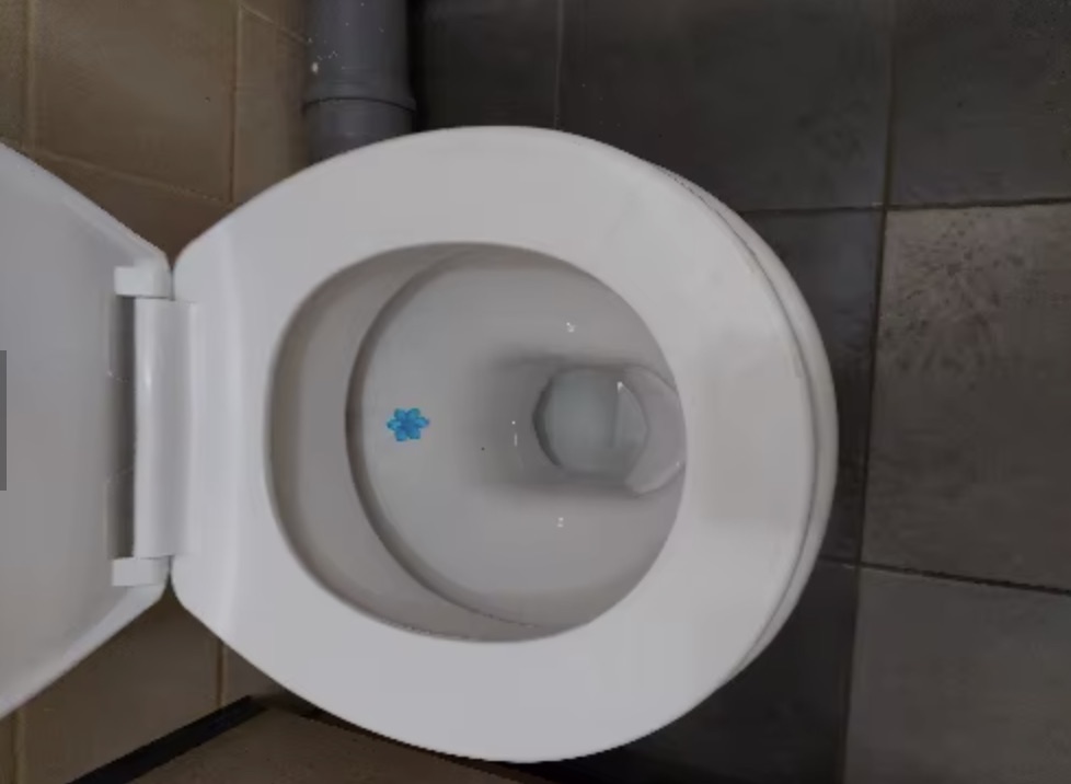 חוות דעת - Toilet Gel Stamp – מארז 3 חותמות ג'ל ריחניות לניקוי האסלה
