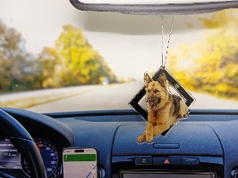 תליון לרכב עם תמונת החתול שלכם - מחוץ למסגרת