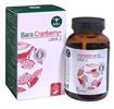 ברא חמוציות פלוס - Bara Cranberry plus - דיאנטוס | Dianthus | ברא צמחים