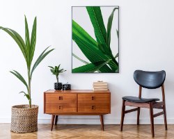 תמונת קנבס קלוזאפ של צמח טרופי מאורך |בודדת או לשילוב בקיר גלריה | תמונות לבית ולמשרד