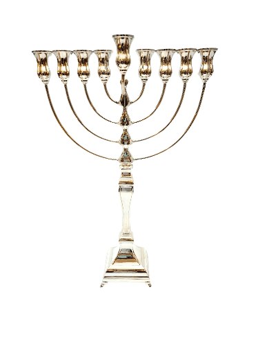 חנוכיה מכסף טהור דגם שיין