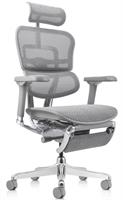 Comfort Ergohuman Pro – כיסא משרדי איכותי עם משענת רשת נושמת