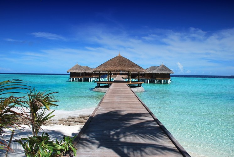 Traveling and Vacations