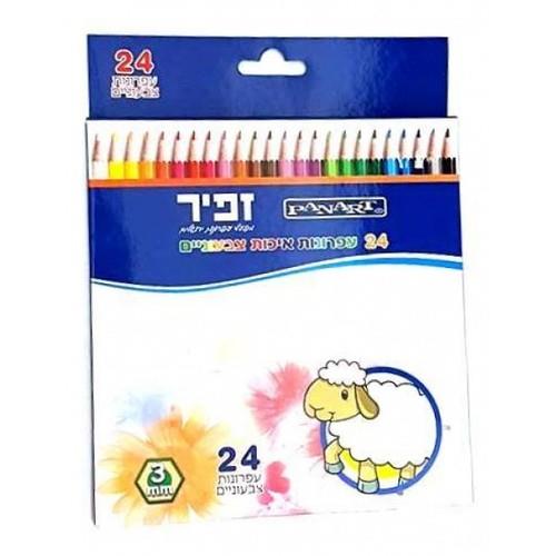 24 עפרונות צבעוניים( זפיר)