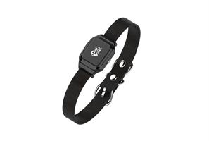 הקולר המתקדם PetWatch 2.0 מבית Kidiwatch - עם איתור GPS מדויק, היסטוריית מיקומים וקולר נגד פרעושים מתנה - אחריות קידי