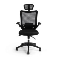 כסא משרדי ד"ר גב SPARK