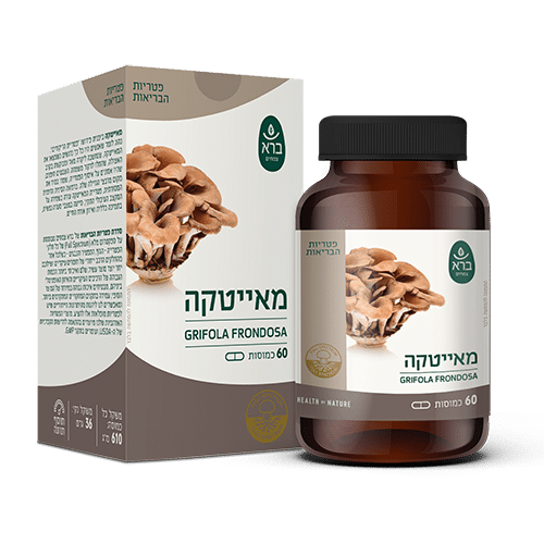 Grifola frondosa | מאייטקה | CAP 60 | סדרת פטריות ברא צמחים