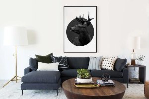 תמונה של אייל מודפס על קנבס איכותי מתוח על מסגרת עץ + מסגרת דקורטיבית ללא עלות| "אייל ללא גבולות"