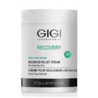 קרם לחות ריקברי ענק 250 מל RECOVERY GIGI