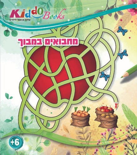 אלבום  צביעה מחבואים במבוך 5038 - KIDDO BOOKS