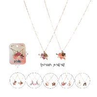 שרשרת חברות