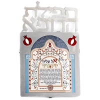 ברכה לרופא נגזרת נירוסטה בשילוב הדפס צבעוני