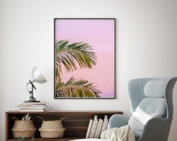 "Palms&Pink" תמונת קנבס עלי דקל ושמיים ורודים |בודדת או לשילוב בקיר גלריה | תמונות לבית ולמשרד