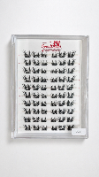 Speed Lashes - Foxy מהדורה מוגבלת!! ריסים עם דבק מובנה להדבקה קלה