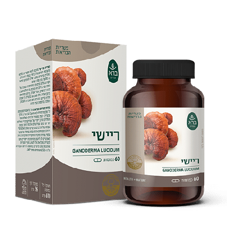 Ganoderma Lucidum | ריישי | CAP 60  | סדרת פטריות ברא צמחים