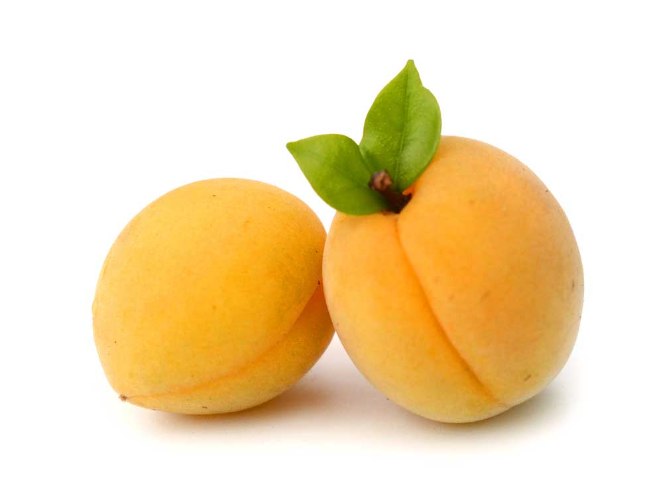 מישמיש מיוחדים (גודל בינוני)